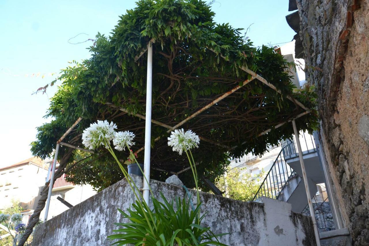 Casa Da Ponte Do Arrocho Villa Loriga Exterior foto